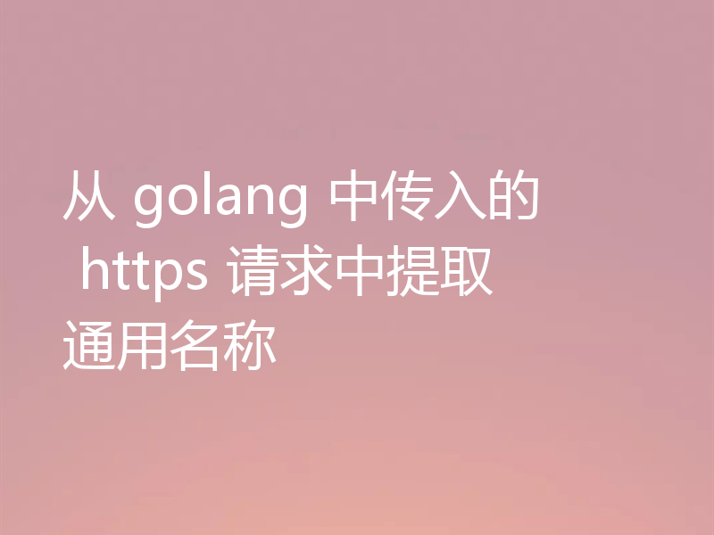 从 golang 中传入的 https 请求中提取通用名称