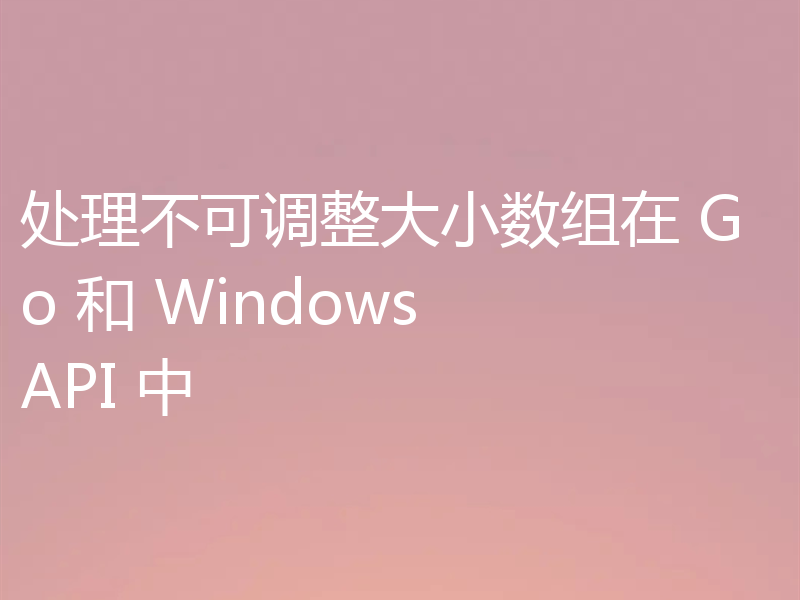 处理不可调整大小数组在 Go 和 Windows API 中