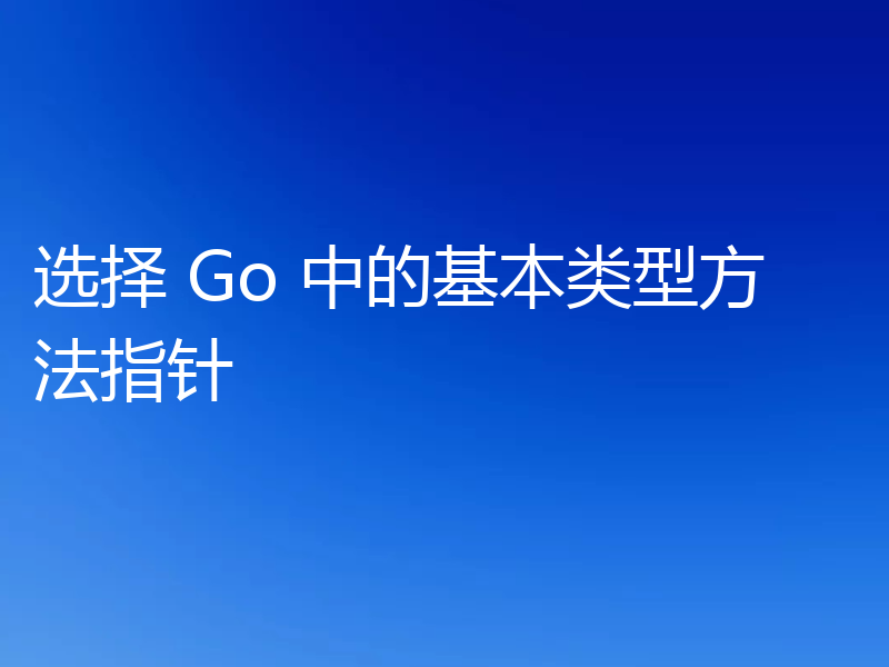 选择 Go 中的基本类型方法指针