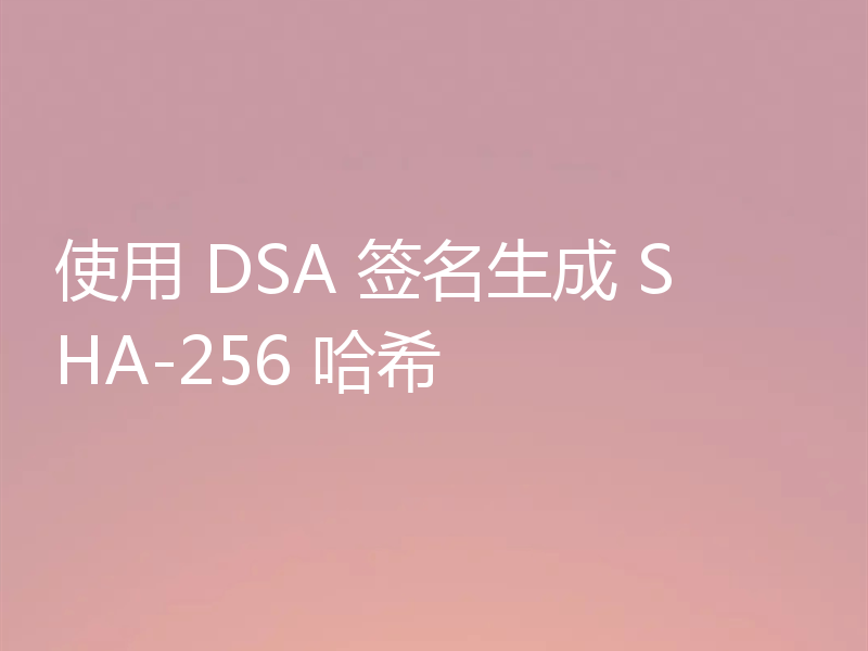 使用 DSA 签名生成 SHA-256 哈希