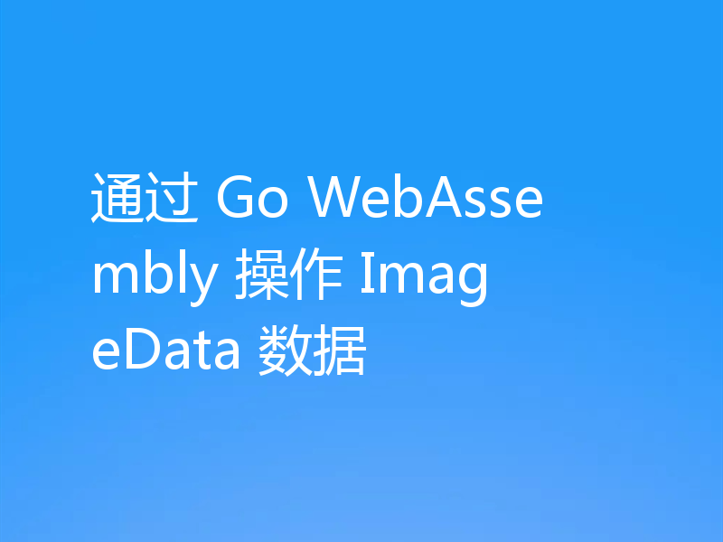 通过 Go WebAssembly 操作 ImageData 数据