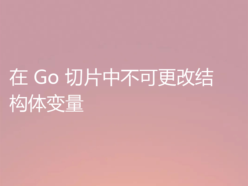 在 Go 切片中不可更改结构体变量