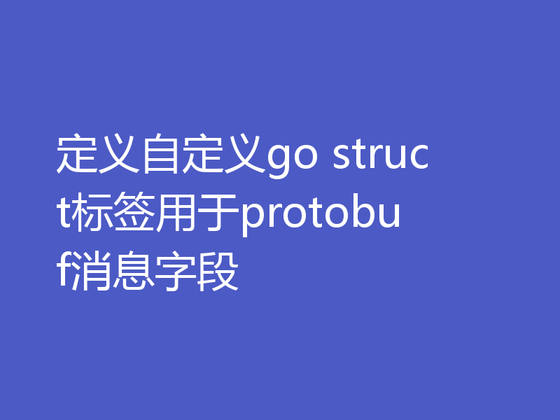 定义自定义go struct标签用于protobuf消息字段