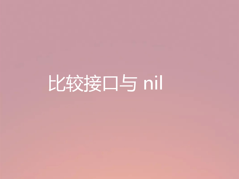 比较接口与 nil
