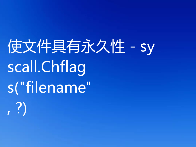 使文件具有永久性 - syscall.Chflags(