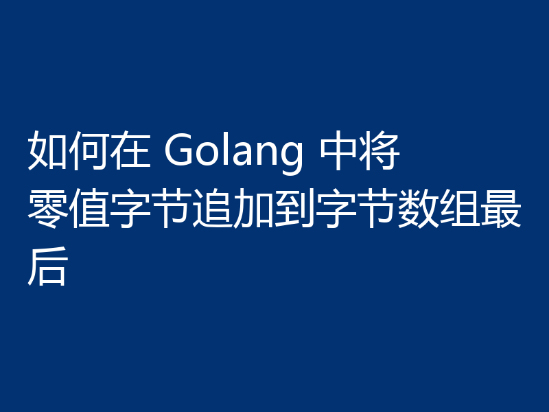 如何在 Golang 中将零值字节追加到字节数组最后