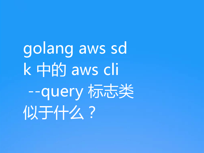 golang aws sdk 中的 aws cli --query 标志类似于什么？