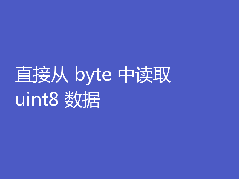 直接从 byte 中读取 uint8 数据