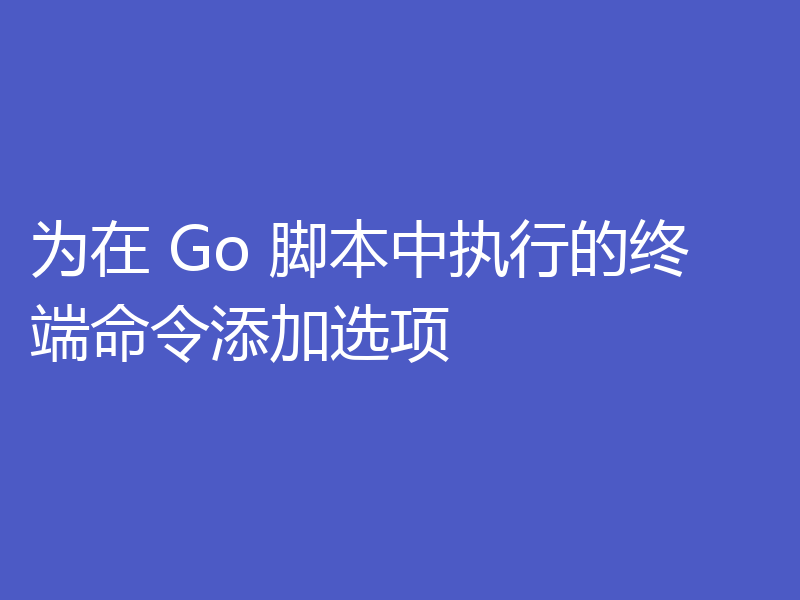 为在 Go 脚本中执行的终端命令添加选项