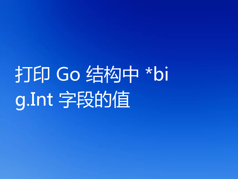 打印 Go 结构中 *big.Int 字段的值