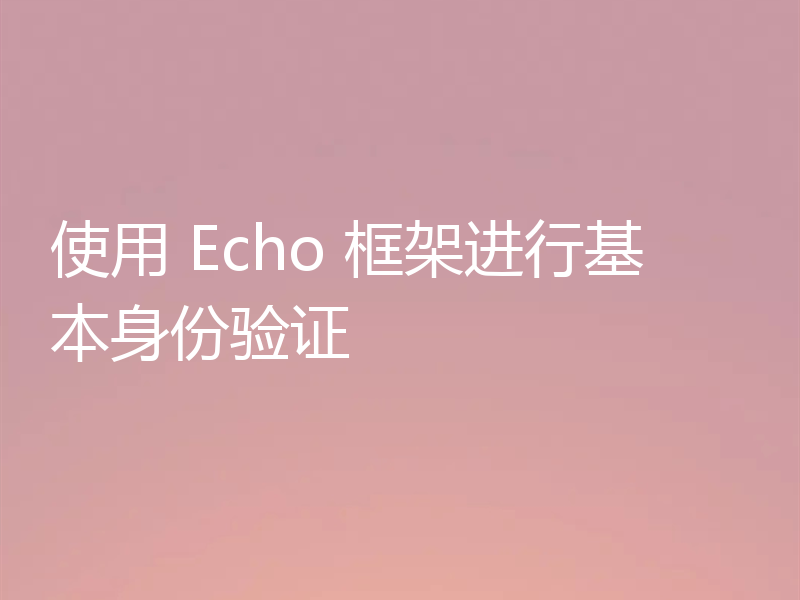 使用 Echo 框架进行基本身份验证