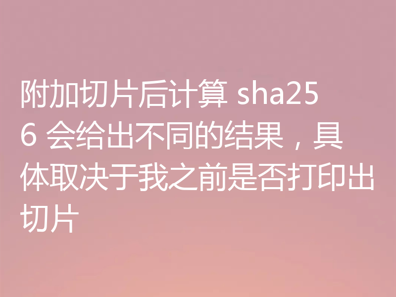 附加切片后计算 sha256 会给出不同的结果，具体取决于我之前是否打印出切片