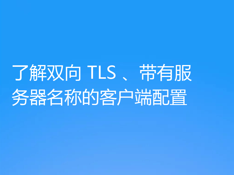 了解双向 TLS 、带有服务器名称的客户端配置