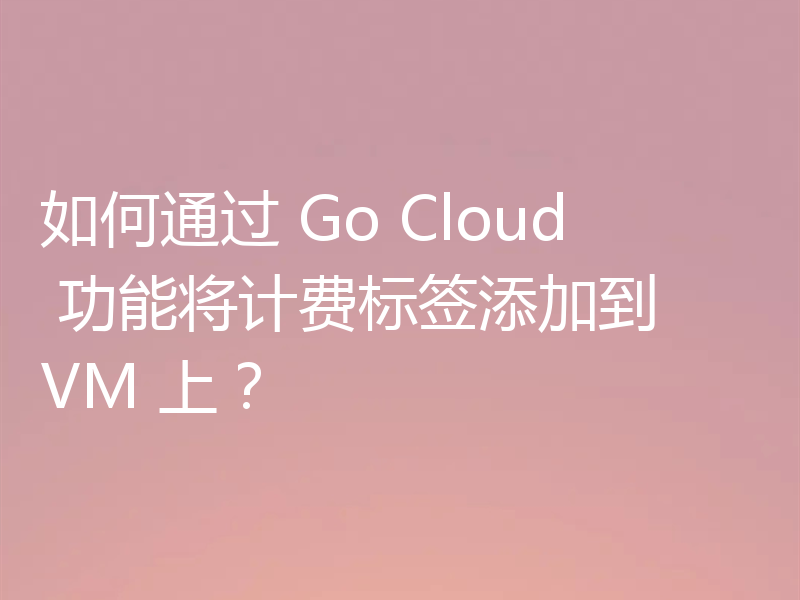 如何通过 Go Cloud 功能将计费标签添加到 VM 上？
