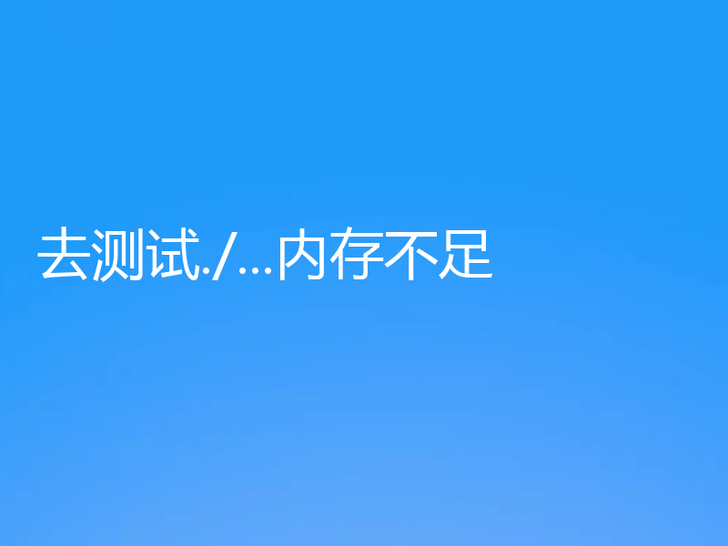 去测试./...内存不足