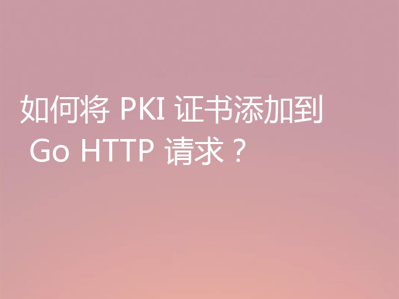 如何将 PKI 证书添加到 Go HTTP 请求？