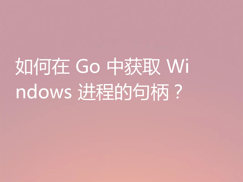 如何在 Go 中获取 Windows 进程的句柄？