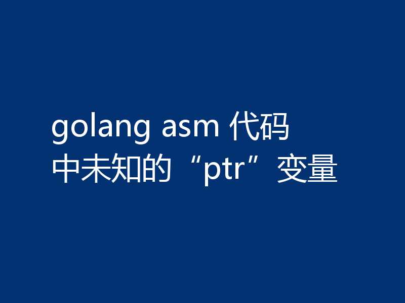 golang asm 代码中未知的“ptr”变量