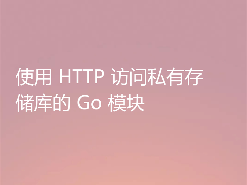 使用 HTTP 访问私有存储库的 Go 模块
