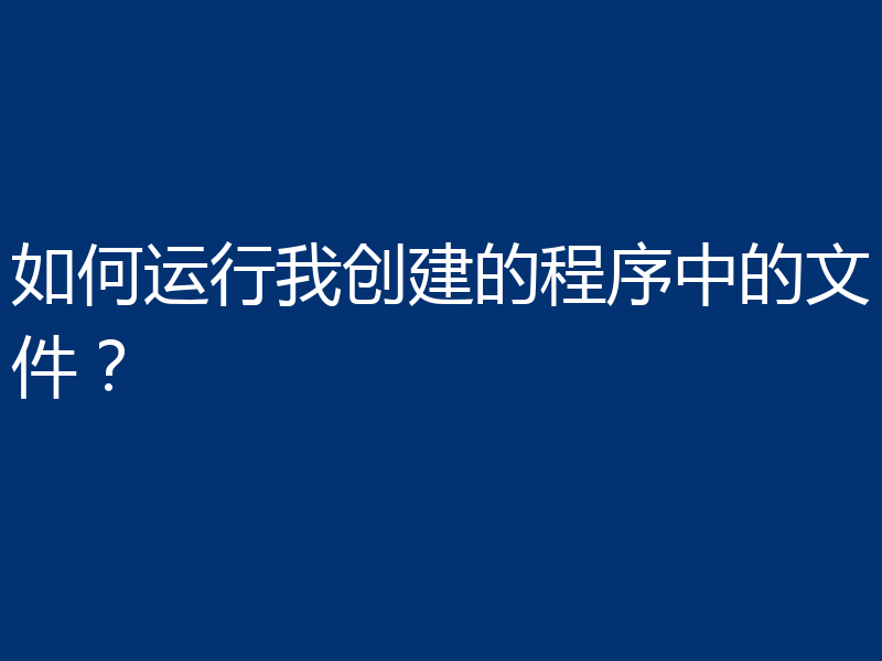 如何运行我创建的程序中的文件？