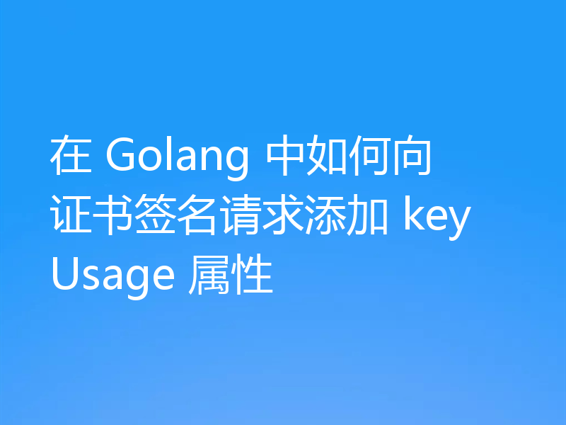 在 Golang 中如何向证书签名请求添加 keyUsage 属性