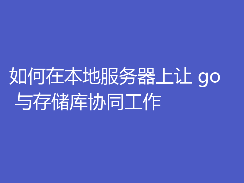 如何在本地服务器上让 go 与存储库协同工作