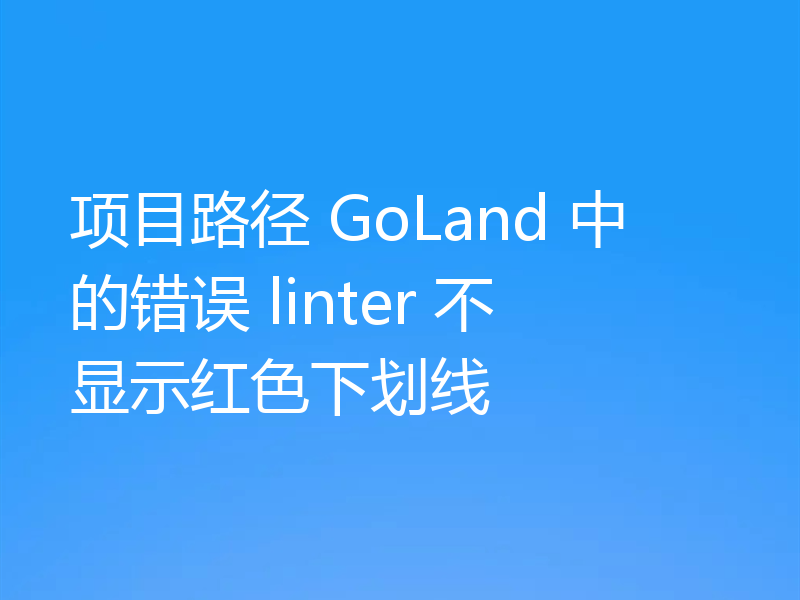 项目路径 GoLand 中的错误 linter 不显示红色下划线