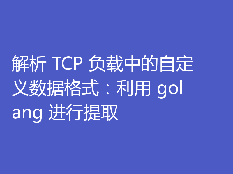 解析 TCP 负载中的自定义数据格式：利用 golang 进行提取