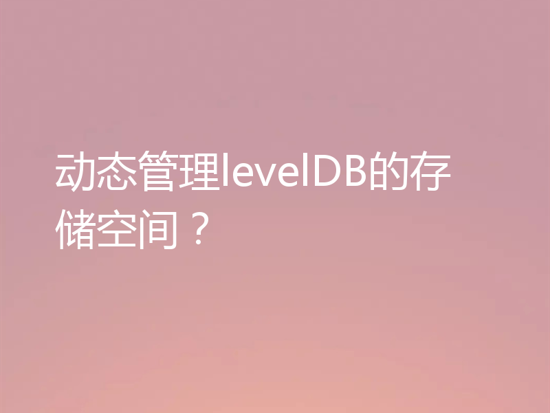 动态管理levelDB的存储空间？