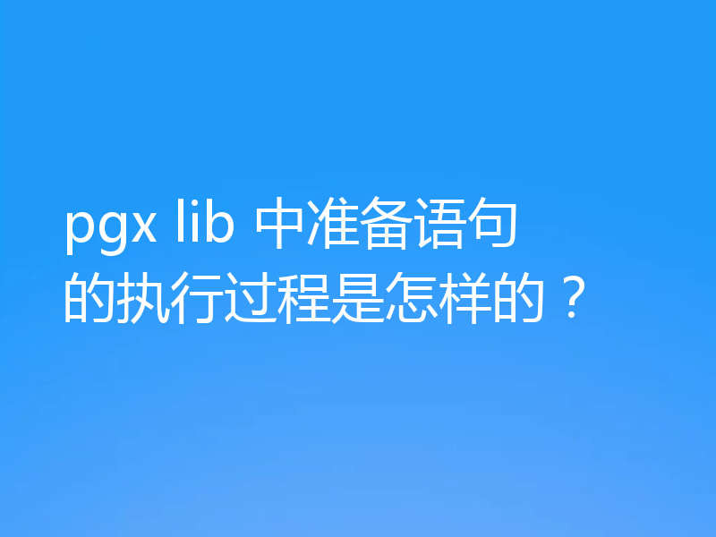 pgx lib 中准备语句的执行过程是怎样的？