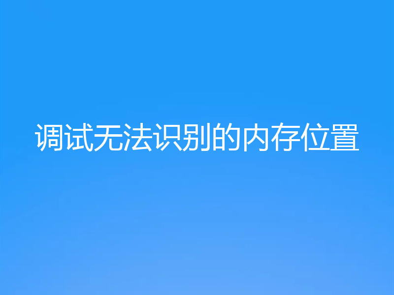 调试无法识别的内存位置