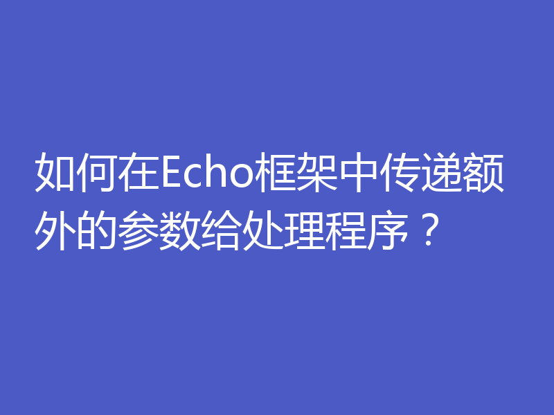 如何在Echo框架中传递额外的参数给处理程序？