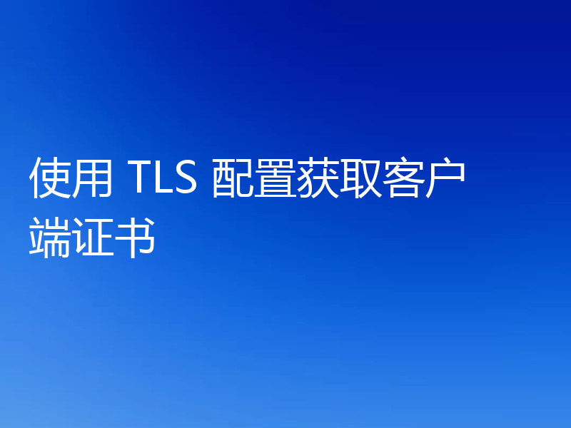 使用 TLS 配置获取客户端证书