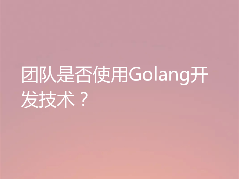 团队是否使用Golang开发技术？