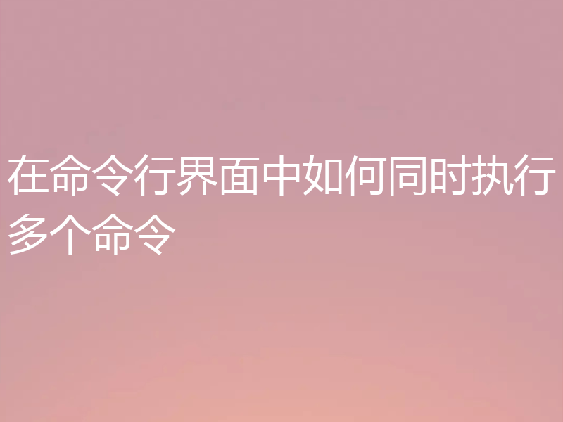 在命令行界面中如何同时执行多个命令
