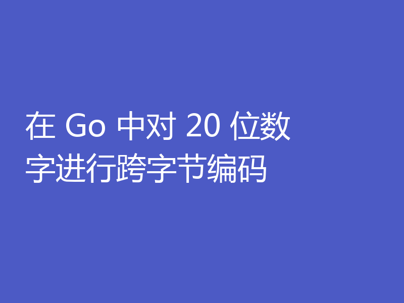 在 Go 中对 20 位数字进行跨字节编码
