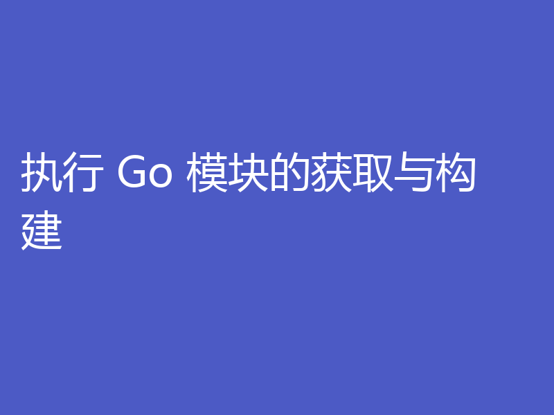 执行 Go 模块的获取与构建