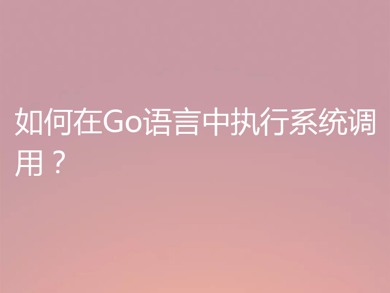 如何在Go语言中执行系统调用？