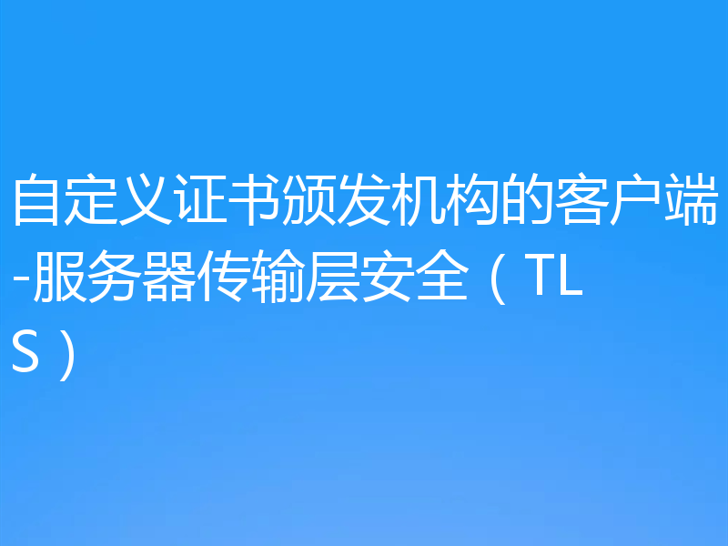 自定义证书颁发机构的客户端-服务器传输层安全（TLS）