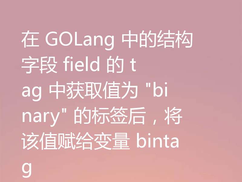 在 GOLang 中的结构字段 field 的 tag 中获取值为 