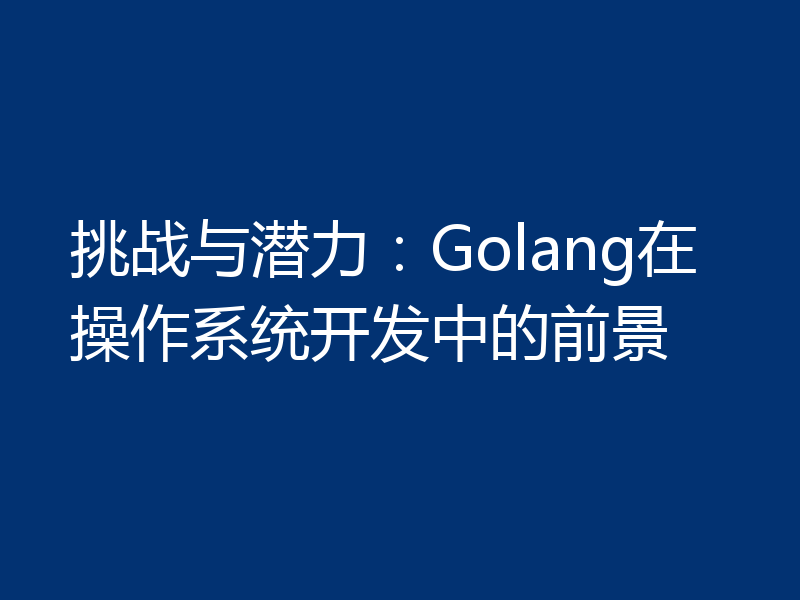 挑战与潜力：Golang在操作系统开发中的前景