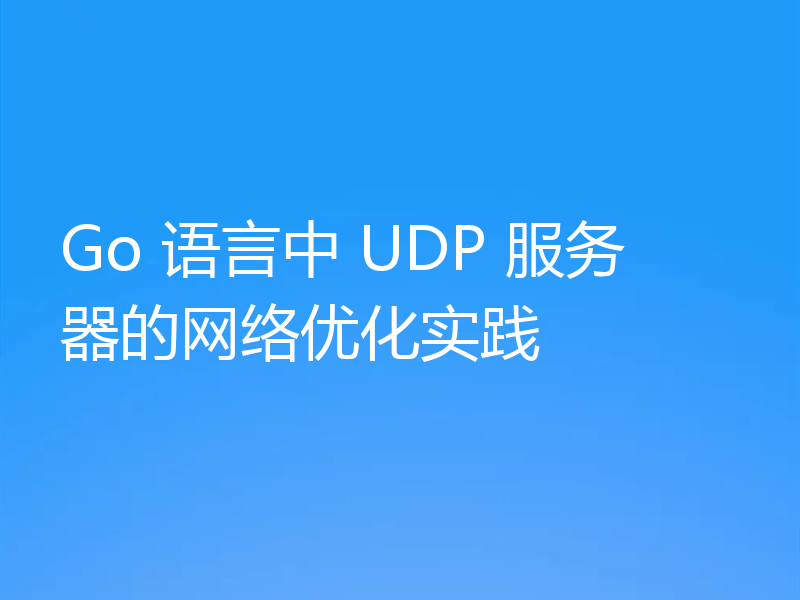 Go 语言中 UDP 服务器的网络优化实践