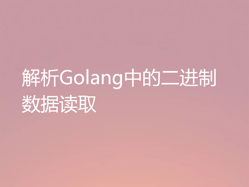 解析Golang中的二进制数据读取