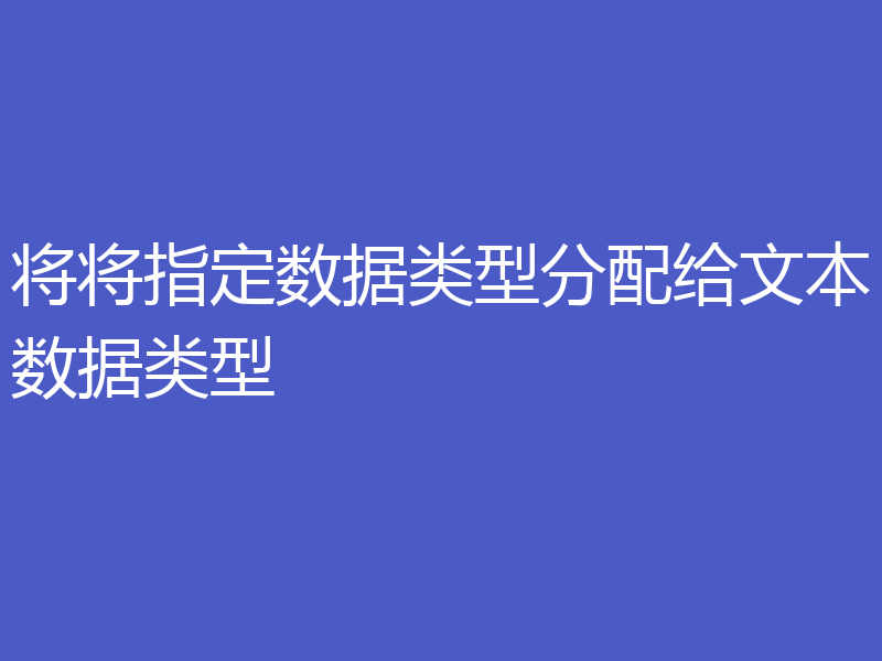 将将指定数据类型分配给文本数据类型