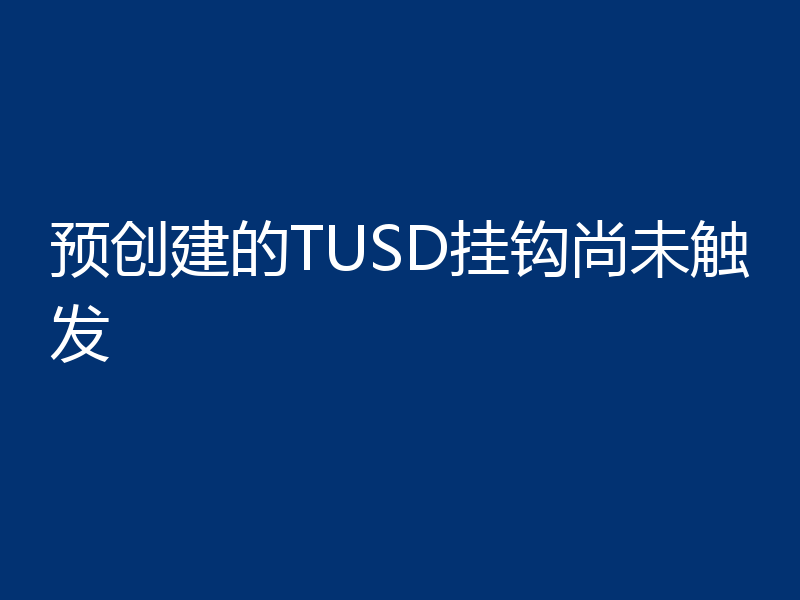预创建的TUSD挂钩尚未触发