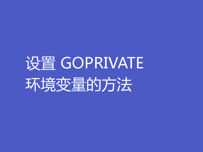 设置 GOPRIVATE 环境变量的方法