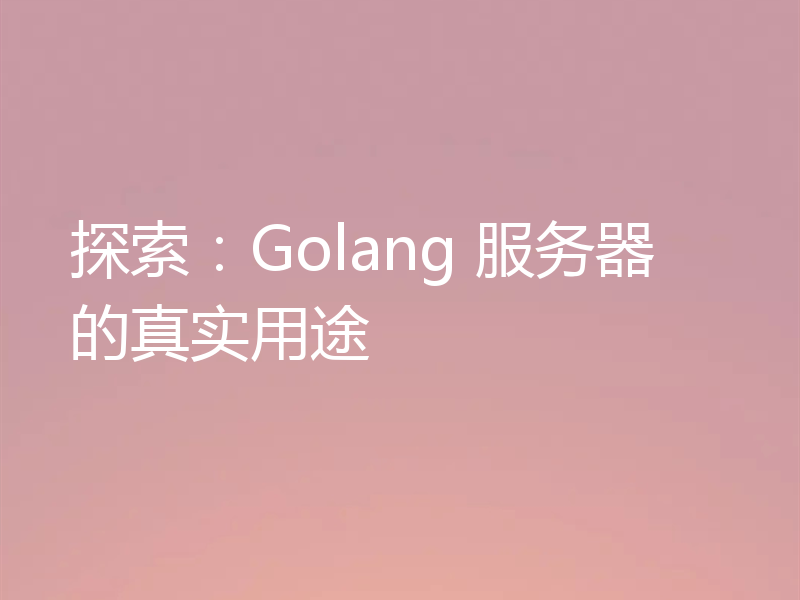 探索：Golang 服务器的真实用途