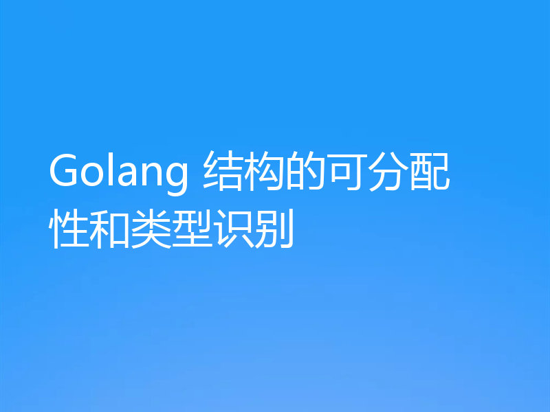 Golang 结构的可分配性和类型识别