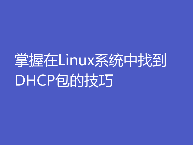 掌握在Linux系统中找到DHCP包的技巧
