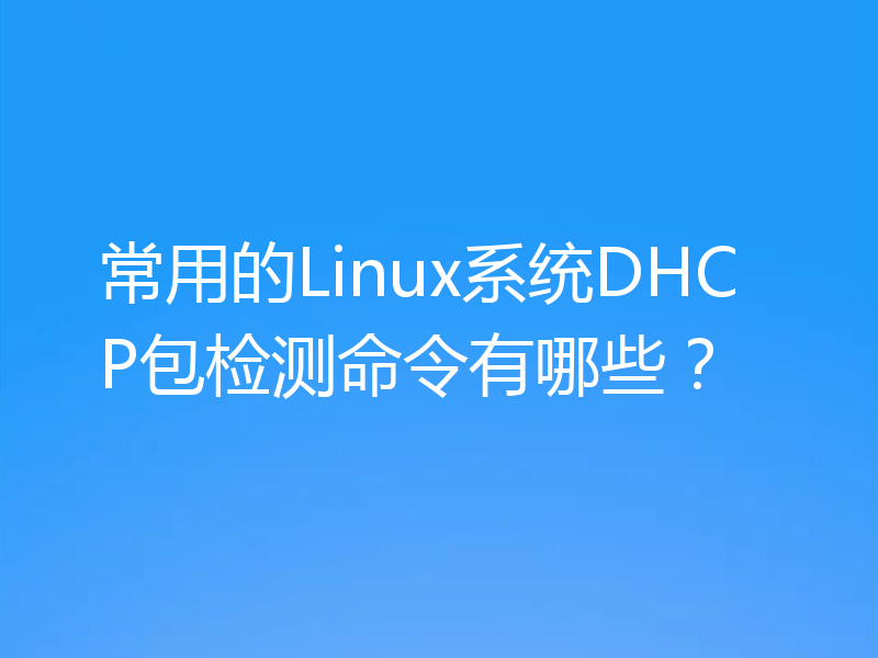 常用的Linux系统DHCP包检测命令有哪些？